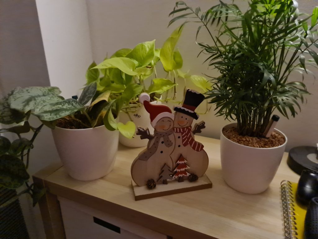 Schneemann Deko mit Pflanzen